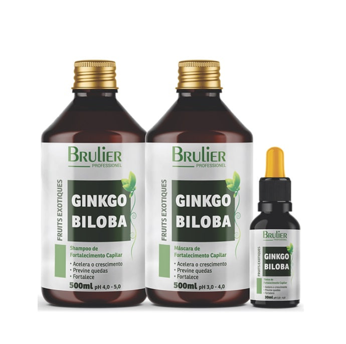 Brulier Home Care Fruits Exotiques Ginko Billoba Hair Growth Treatment Kit 3 Itens - Brulier